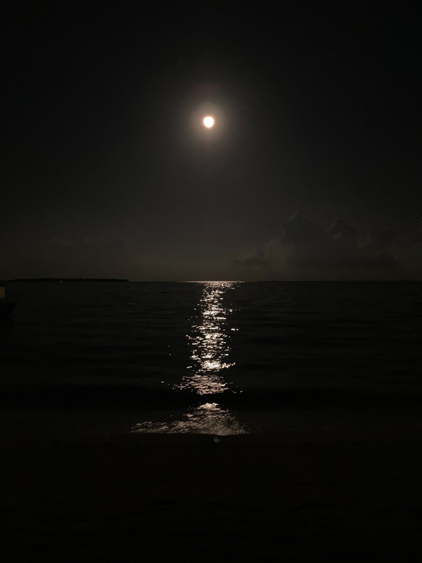Moonlit sea