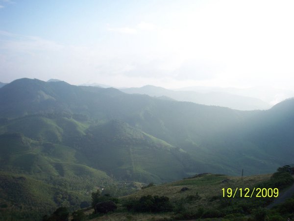 Ervikulam National park