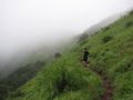 our trek up the Kemmangundi hilld