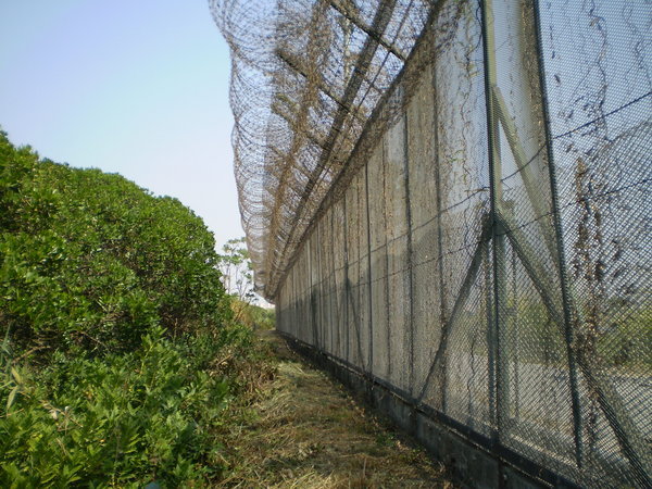 China/HK border fence at Mai Po