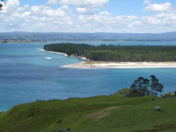 Overlooking Tauranga