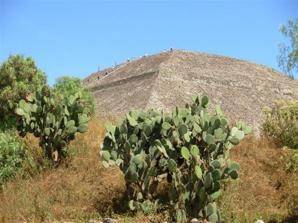 Pyramida slunce - kaktusovy pohled.