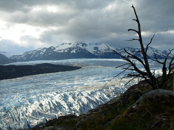 ledovec Grey