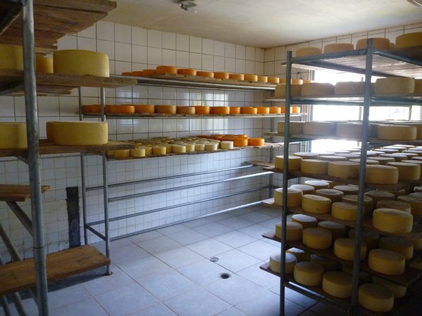 Cheese Production