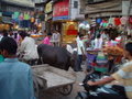 Main Bazaar Delhi