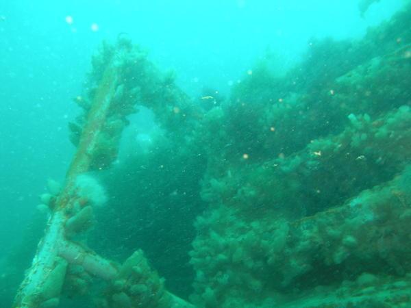 not so ancient wreck