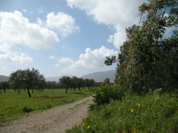 Alghero, Sardegna, March 2010