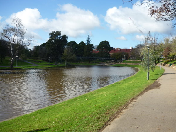 down by the River Torrens