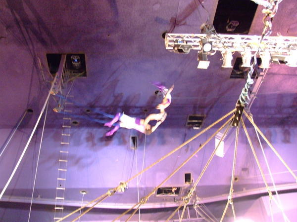 trapeze at circus circus