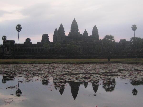The majestic Angkor Wat