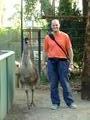 This was the emu that attacked alison - he's a big boy