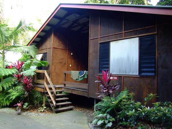 Our jungle lodgings