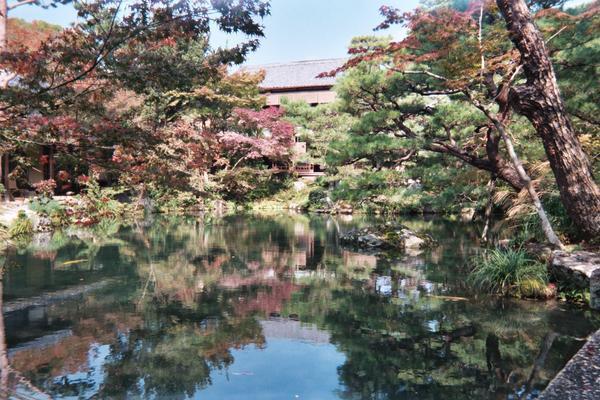 Beautiful Japanese garden.