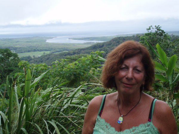 View of daintree river mouth from on high