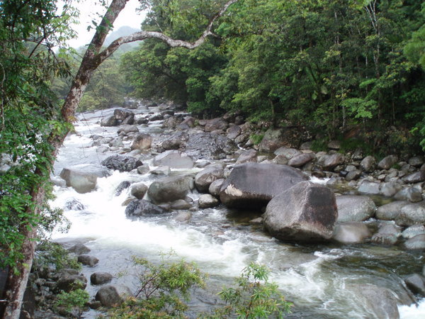 Mossman River and Gorge in the rain
