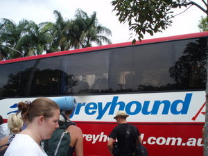 The Greyhound Experience