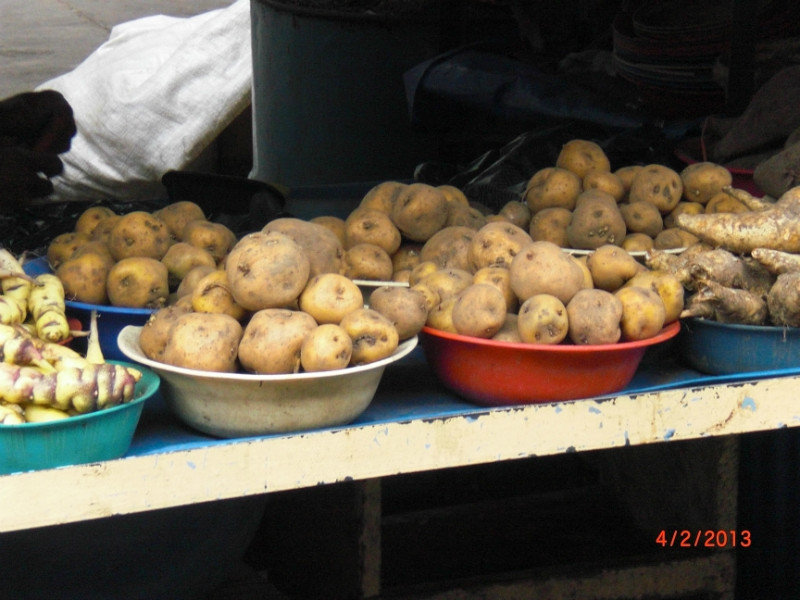 Potatoes and lots of varieties!