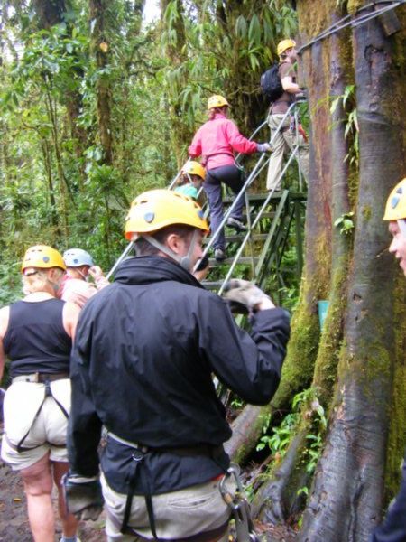 Ziplines 