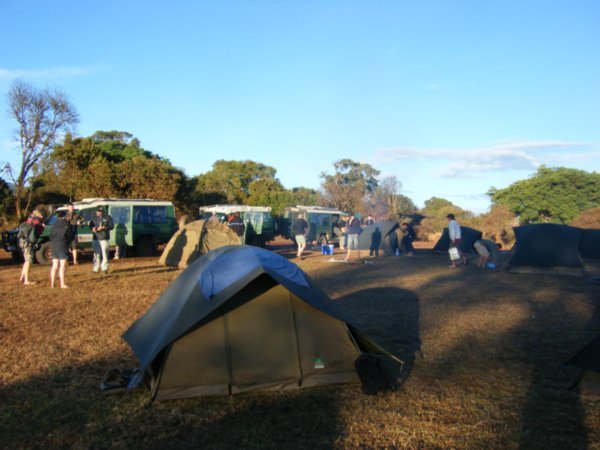 Simba Camp