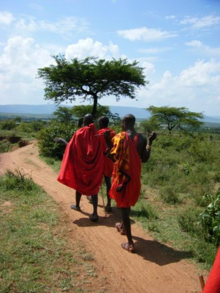 Massai Nature Walk