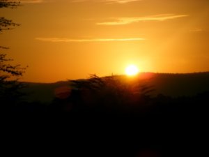 Dawn over Massai Mara