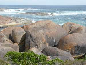 The Elephant Rocks