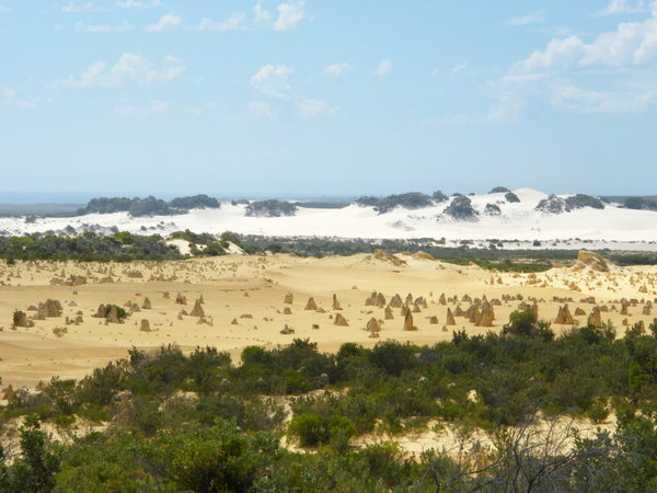 The Pinnacles & Sand dunes
