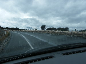 A typical NZ day.....