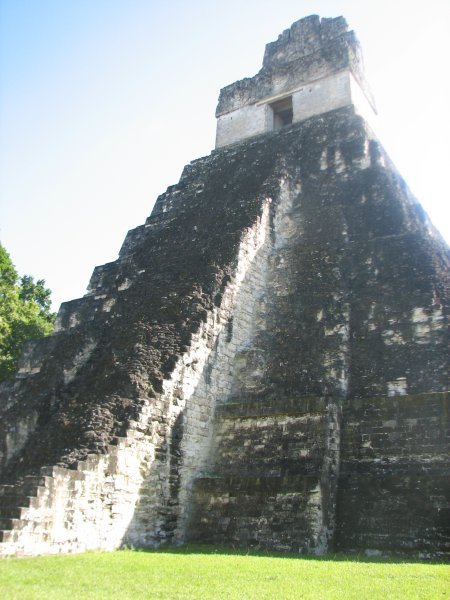 tikal temple (slightly more impressive than the ruins we took my family to)