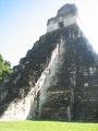 tikal temple (slightly more impressive than the ruins we took my family to)