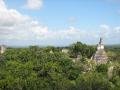 tikal from above