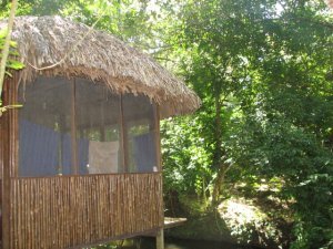 our jungle hut