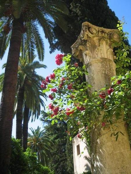 Palace Gardens in Sevilla