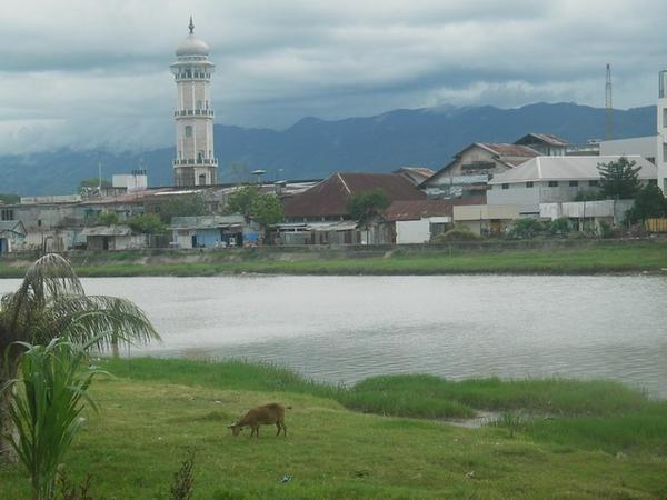 The view from the river in Aceh