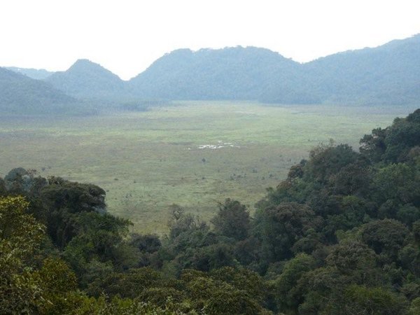 Marsh in Nyungwe