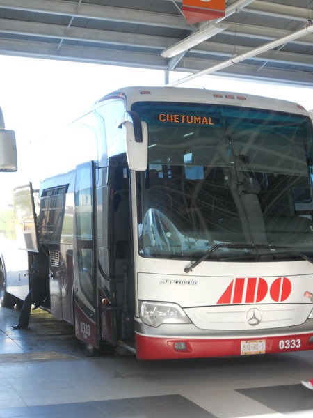 ADO Bus