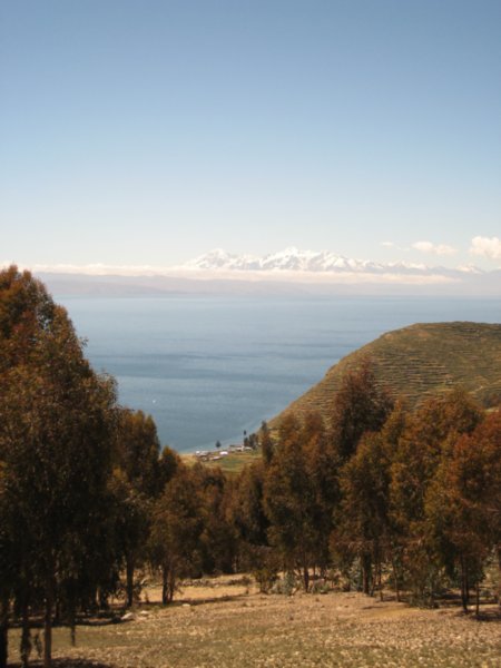 Titicaca view