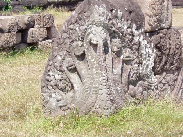  Wat Phou Snakehead