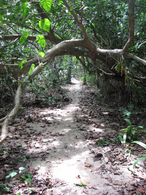 Cahuita N P Trail