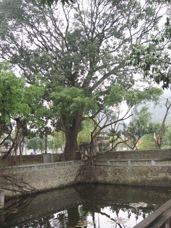 Temple Hoa Lu