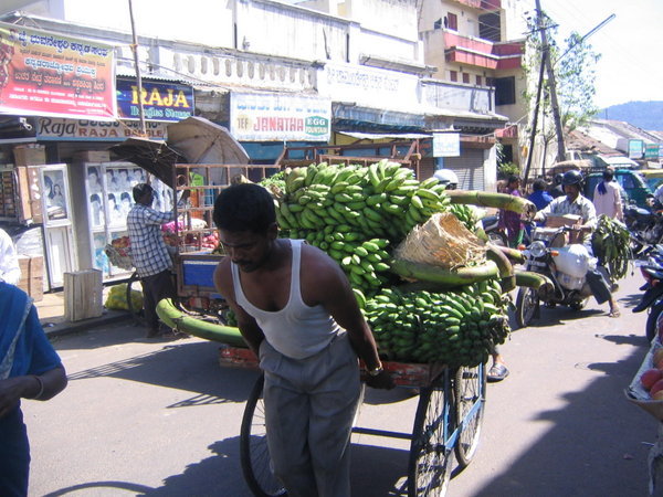 Bananas on the way to market