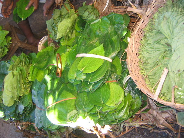 Betel leaves - for chewing & spitting