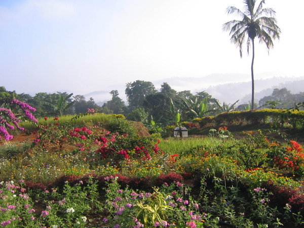Grounds at Palace Estates