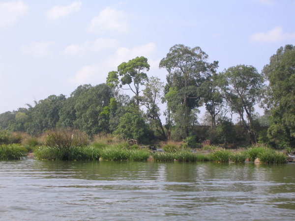 The Cauvery River