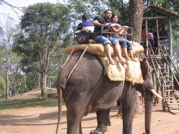 Elephant riders approaching the get-on get-off stand