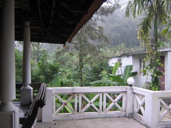 Jungle view from Kumily homestay