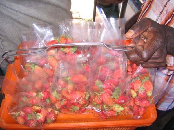 Strawberries are grown in gardens around Munnar