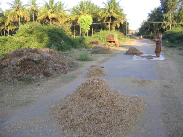 Piles of grain left in roads 