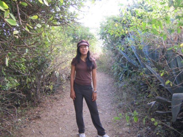 Rosy on a trail around Halebid