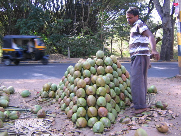 Coconut seller straightens the product